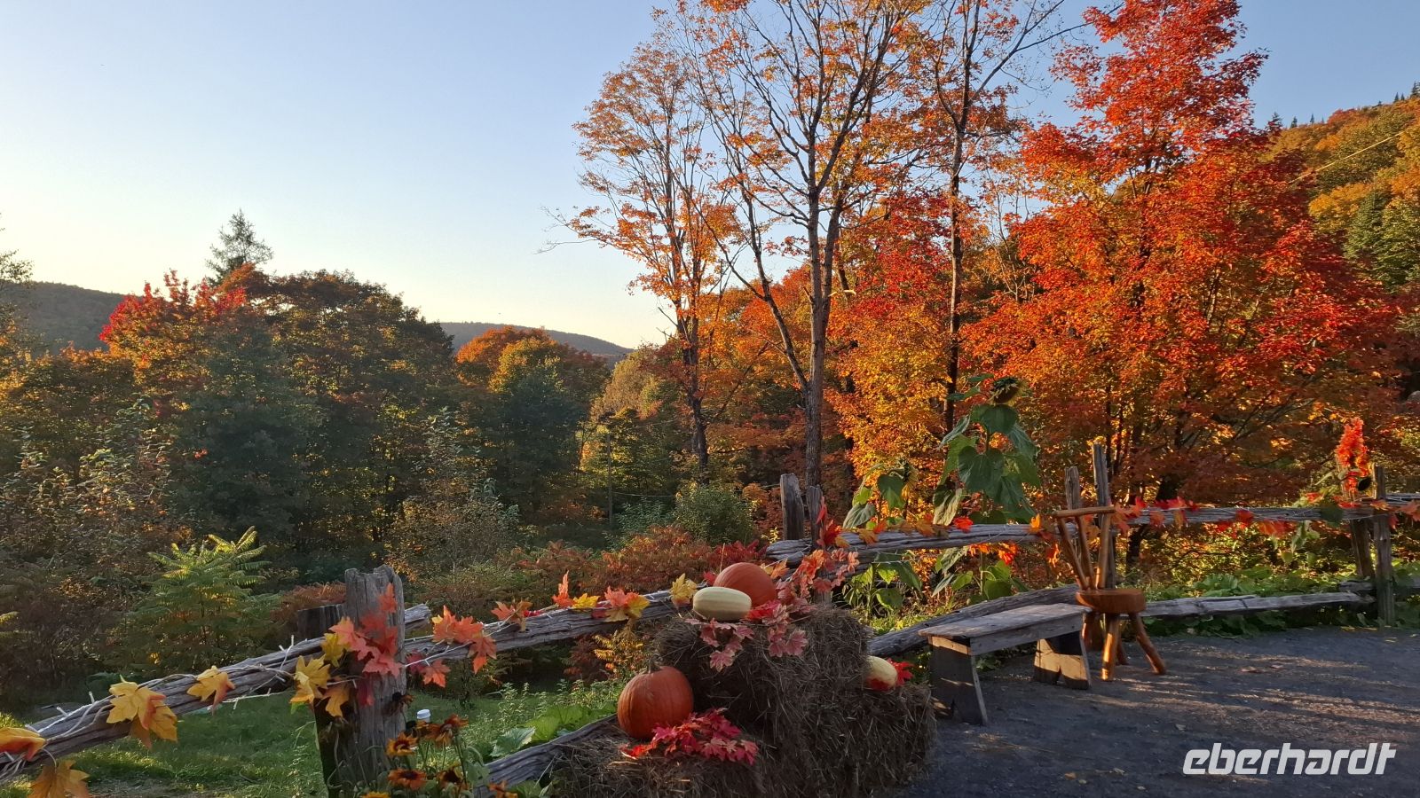 Quebec Laubfärbung.jpg &ndash; &copy; Katja Haubold (Eberhardt TRAVEL)