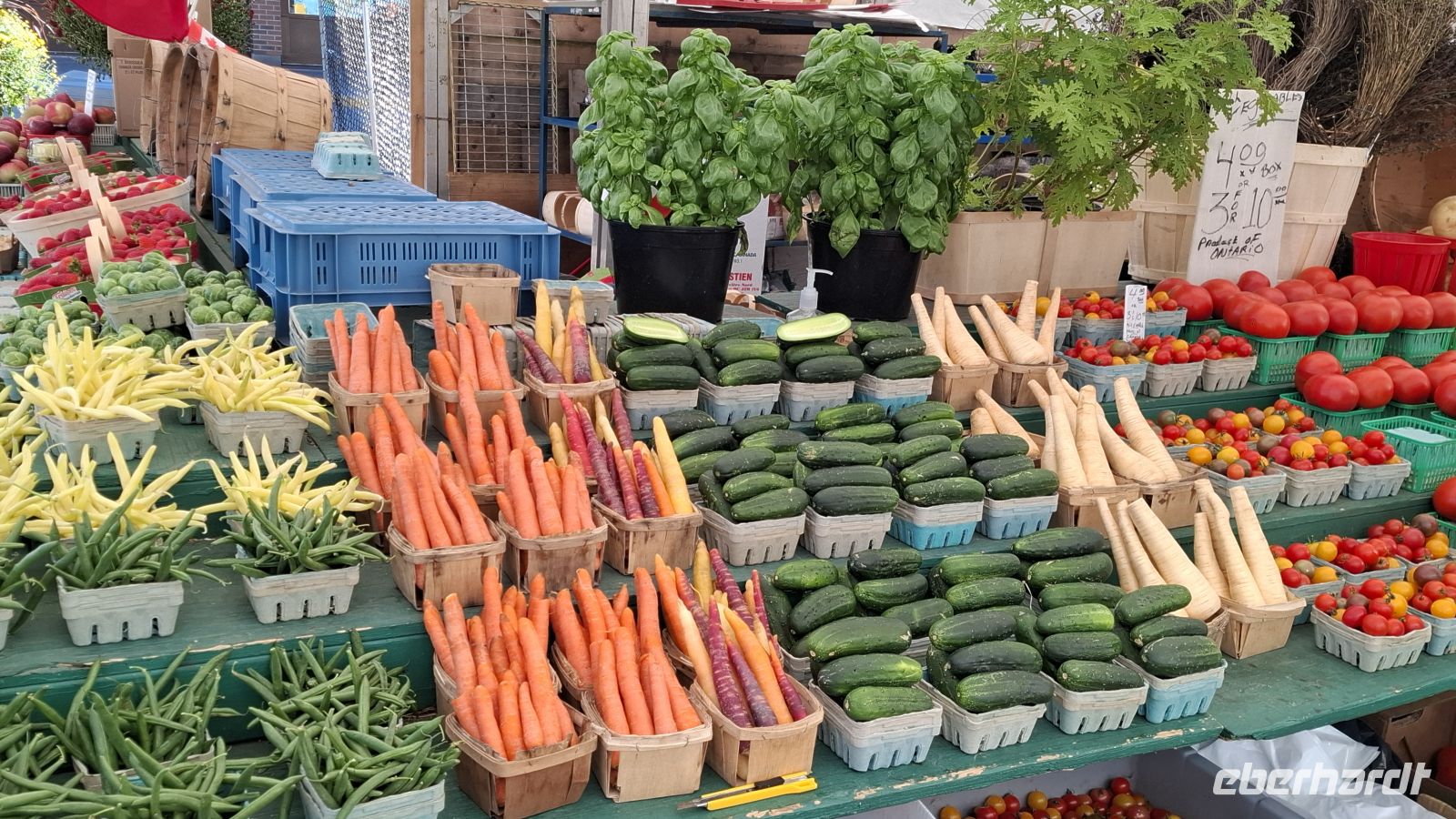 Ottawa Marktstand.jpg &ndash; &copy; Katja Haubold (Eberhardt TRAVEL)