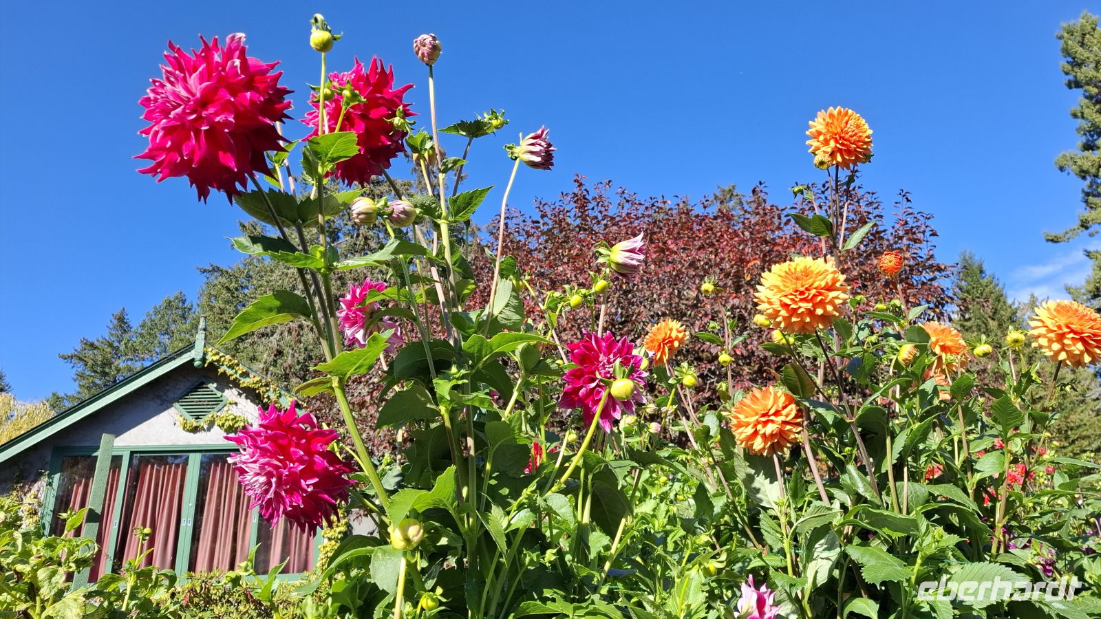 Butchards Garden.jpg &ndash; &copy; Katja Haubold (Eberhardt TRAVEL)