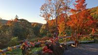 Quebec Laubfärbung.jpg &ndash; &copy; Katja Haubold (Eberhardt TRAVEL)