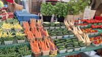 Ottawa Marktstand.jpg &ndash; &copy; Katja Haubold (Eberhardt TRAVEL)