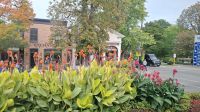 Niagara by the Lake.jpg