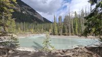 Kicking Horse Fluss.jpg &ndash; &copy; Katja Haubold (Eberhardt TRAVEL)