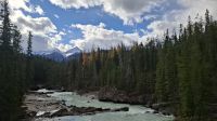 Kicking Horse Fluss Idylle.jpg &ndash; &copy; Katja Haubold (Eberhardt TRAVEL)