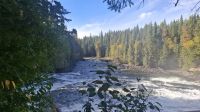 Dawson Falls.jpg &ndash; &copy; Katja Haubold (Eberhardt TRAVEL)