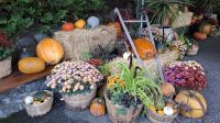 Herbststimmung in Butchards Garden.jpg &ndash; &copy; Katja Haubold (Eberhardt TRAVEL)