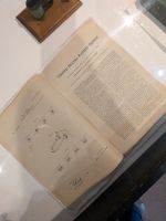 52) Alexander Graham Bell Museum Baddeck, Kanada &ndash; &copy; Teresa Rumpel (Eberhardt TRAVEL)
