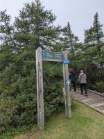70) Bog Trail im Cape Breton Highlands Nationalpark, Kanada &ndash; &copy; Teresa Rumpel (Eberhardt TRAVEL)