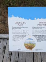 72) Bog Trail im Cape Breton Highlands Nationalpark, Kanada &ndash; &copy; Teresa Rumpel (Eberhardt TRAVEL)