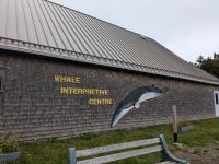 78) Whale Interpretive Center, Pleasant Bay, Kanada
