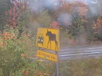 147) The Ocean Zug, Strecke Halifax - Quebec, Kanada &ndash; &copy; Teresa Rumpel (Eberhardt TRAVEL)