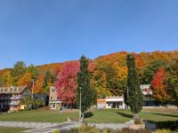 182) Basilika Sainte-Anne-de-Beaupré, Quebec, Kanada &ndash; &copy; Teresa Rumpel (Eberhardt TRAVEL)