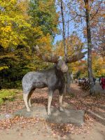 193) Canyon Sainte-Anne, Quebec, Kanada &ndash; &copy; Teresa Rumpel (Eberhardt TRAVEL)