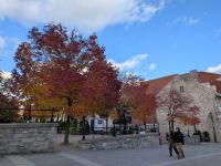 279) Herbstlaubfärbung Montreal, Kanada &ndash; &copy; Teresa Rumpel (Eberhardt TRAVEL)