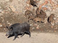 293) Omega Tierpark, Kanada &ndash; &copy; Teresa Rumpel (Eberhardt TRAVEL)