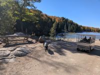 294) Omega Tierpark, Kanada &ndash; &copy; Teresa Rumpel (Eberhardt TRAVEL)