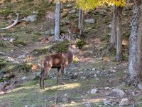 297) Omega Tierpark, Kanada &ndash; &copy; Teresa Rumpel (Eberhardt TRAVEL)