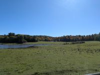 300) Omega Tierpark, Kanada &ndash; &copy; Teresa Rumpel (Eberhardt TRAVEL)