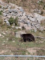 307) Omega Tierpark, Kanada &ndash; &copy; Teresa Rumpel (Eberhardt TRAVEL)