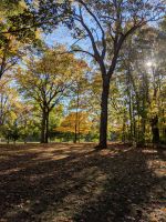 319) Rideau Hall, Ottawa, Kanada &ndash; &copy; Teresa Rumpel (Eberhardt TRAVEL)