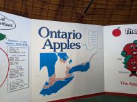 387) Raststopp am Big Apple auf dem Weg nach Toronto, Kanada &ndash; &copy; Teresa Rumpel (Eberhardt TRAVEL)