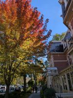 437) Niagara on the Lake, Kanada &ndash; &copy; Teresa Rumpel (Eberhardt TRAVEL)