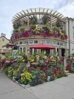 Blumenpracht in Niagara on the Lake &ndash; &copy; Gunter Looß (Eberhardt TRAVEL)