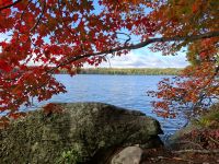 Natur pur am Hardy-See &ndash; &copy; Gunter Looß (Eberhardt TRAVEL)