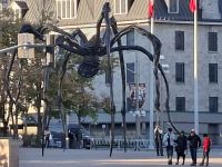 eine Riesenspinne in Ottawa &ndash; &copy; Gunter Looß (Eberhardt TRAVEL)