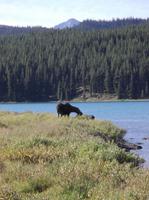 Maligne Lake &ndash; &copy; Karin Schröter (Eberhardt TRAVEL)