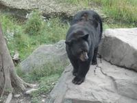 Omega Tierpark &ndash; &copy; Ralf Mehnert (Eberhardt TRAVEL)