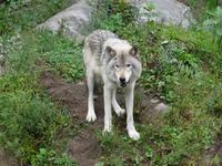 Omega Tierpark &ndash; &copy; Ralf Mehnert (Eberhardt TRAVEL)