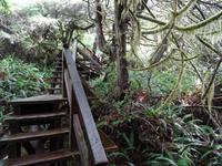 Nuu-chah-nuith-Trail &ndash; &copy; Ralf Mehnert (Eberhardt TRAVEL)
