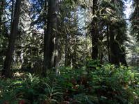 Cathedral Trail &ndash; &copy; Ralf Mehnert (Eberhardt TRAVEL)