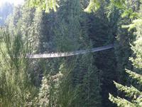 Capilano Suspension Bridge &ndash; &copy; Ralf Mehnert (Eberhardt TRAVEL)