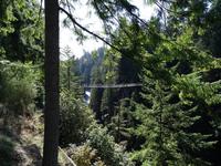 Capilano Suspension Bridge &ndash; &copy; Ralf Mehnert (Eberhardt TRAVEL)