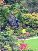 Butchart Gardens - Versunkener Garten &ndash; &copy; Lydia Gräbner (Eberhardt TRAVEL)
