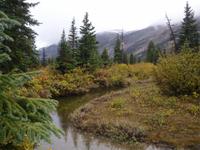 Am Bow Lake &ndash; &copy; Lydia Gräbner (Eberhardt TRAVEL)