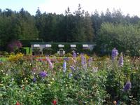 Butchart Gardens - Blick auf den italienischen Teil &ndash; &copy; Lydia Gräbner (Eberhardt TRAVEL)