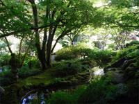 Butchart Gardens - Japanischer Garten &ndash; &copy; Lydia Gräbner (Eberhardt TRAVEL)