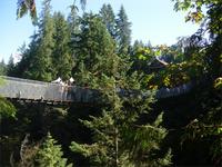Capilano Suspension Bridge &ndash; &copy; Lydia Gräbner (Eberhardt TRAVEL)