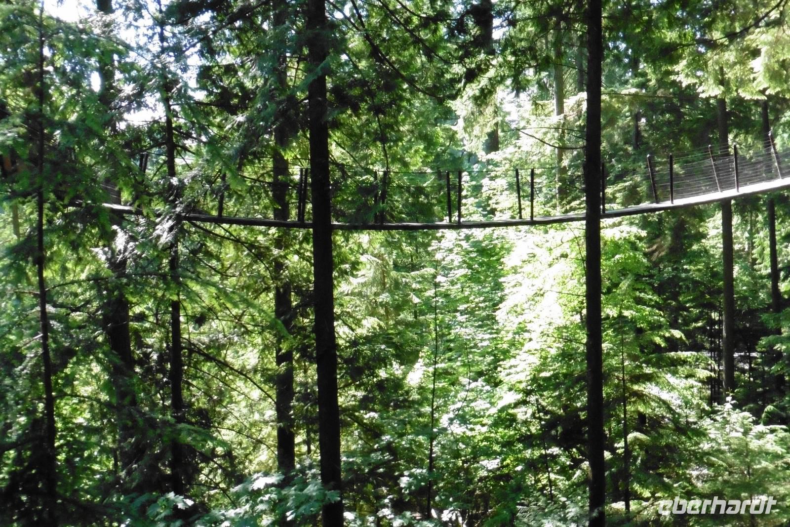Baumwipfelpfad &ndash; &copy; Sandra Winkler (Eberhardt TRAVEL)