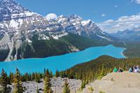 Peyto Lake &ndash; &copy; Sandra Winkler (Eberhardt TRAVEL)