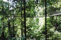 Baumwipfelpfad &ndash; &copy; Sandra Winkler (Eberhardt TRAVEL)