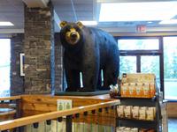 Banff &ndash; &copy; Anne Sturm (Eberhardt TRAVEL)