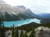 Peyto Lake &ndash; &copy; Anne Sturm (Eberhardt TRAVEL)