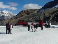 Am Columbia Icefield &ndash; &copy; Anne Sturm (Eberhardt TRAVEL)