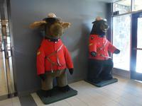 Am Columbia Icefield &ndash; &copy; Anne Sturm (Eberhardt TRAVEL)