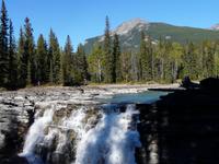 Athabasca Falls &ndash; &copy; Anne Sturm (Eberhardt TRAVEL)
