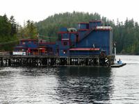 Tofino &ndash; &copy; Anne Sturm (Eberhardt TRAVEL)